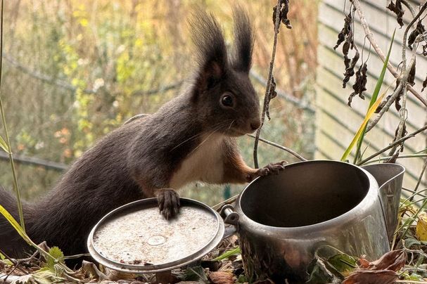 Fotograf: Brigitte Lutzner